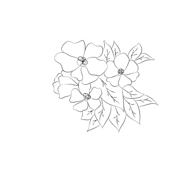 Jardim Verão Flores Monocromático Ilustração Esboço Desenhado Mão — Vetor de Stock