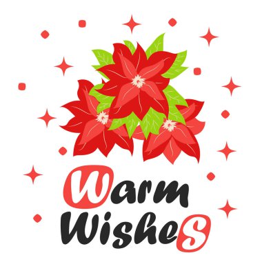 Yeşil yapraklı ve kırmızı yapraklı geleneksel Noel çiçeği buketi. Şirin kış posteri, noel kartı, afiş, çıkartma