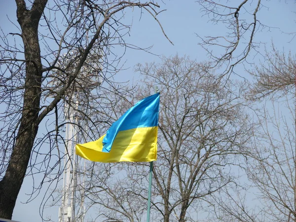 ウクライナの旗 ウクライナのシルクの波のフラグは 背景日当たりの良い青空に透明ファブリック金の槍を作った — ストック写真