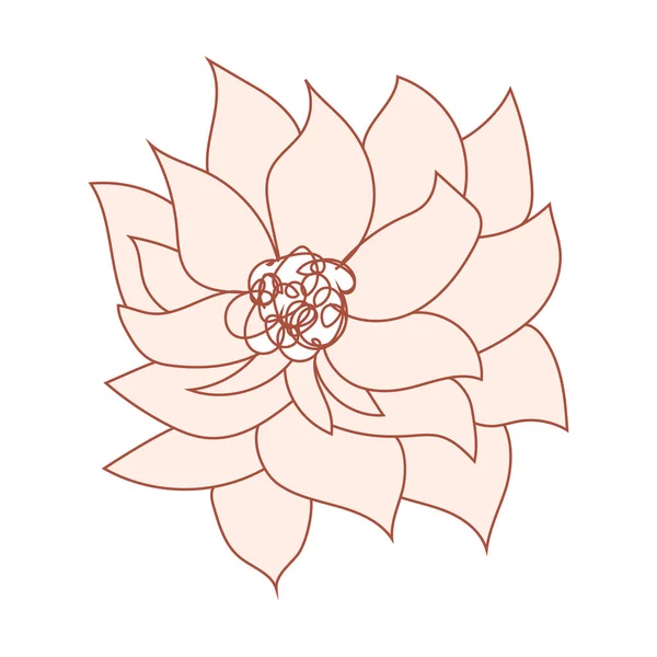 Illustration Fleur Nue Beige Marron Dessin Une Ligne Art Linéaire — Image vectorielle