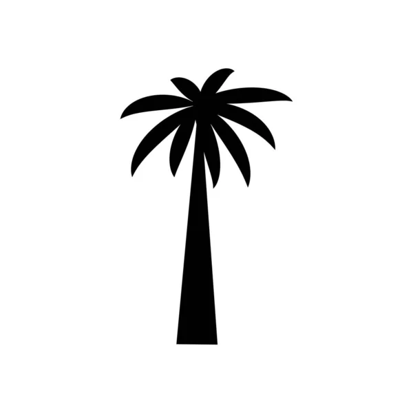 热带棕榈树 有叶子 成熟和幼树 黑色轮廓 白色背景隔离 — 图库矢量图片