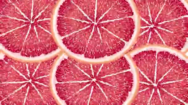 Saftige Grapefruitkreise drehen sich, erscheinen und verschwinden, fallen ins Wasser. Orange, rot, gelb, grüne Früchte — Stockvideo