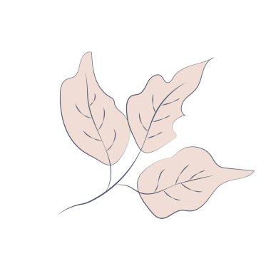 Resim kahverengi bej çıplak çiçek, bir çizgi çizimi, çizgi sanatı, modern illüstrasyon ve sanat, doğa ve bitkiler minimalist tasarım