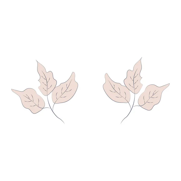 Illust Flor Desnuda Beige Marrón Dibujo Una Línea Arte Línea — Vector de stock