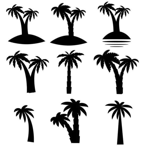 Set Tropical Palm Trees Leaves Mature Young Plants Black Silhouettes — Stock Vector