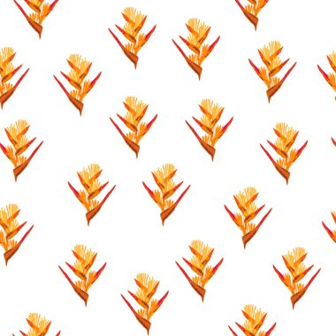 Yapraklı ve saplı turuncu Strelitzia çiçek deseni, zambaklar, amberçiçeği, tropikal çiçekler. Hawaii plaj tatili.