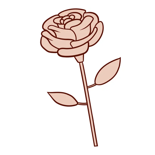 Uma flor de rosa —  Vetores de Stock