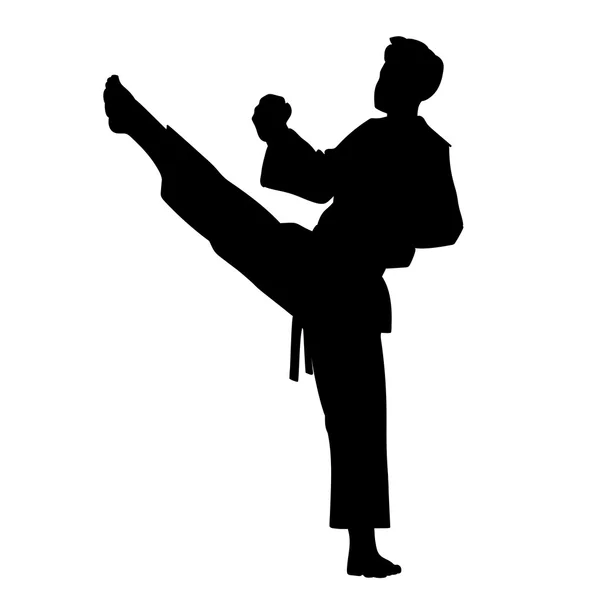 Combate de karate aislado — Vector de stock