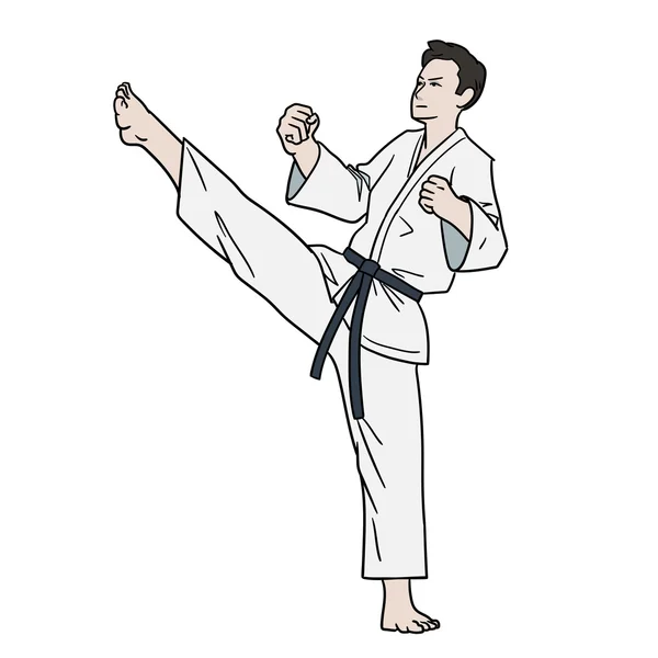 Combate de karate aislado — Vector de stock