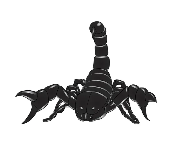 Skorpion — Wektor stockowy