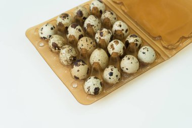 Bıldırcın yumurtası tepsisi, üst manzara. Küçük çiğ yumurta. Sağlıklı yemek al..