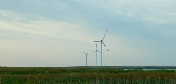 Kherson 'da elektrik üretimi için rüzgar türbinleri.