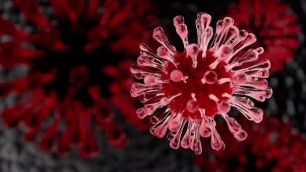 Close Red Coronavirus Human Lung Background Medical Health Care Concept — Stock Video