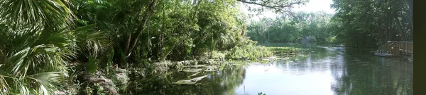 Mineral Spring at Central Florida — Stock Photo, Image