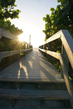 Gün batımında ahşap yolu