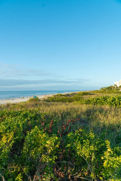 Прекрасні Білі Піски Пляжі Індіан Рокс Біч Західному Узбережжі Флориди — стокове фото