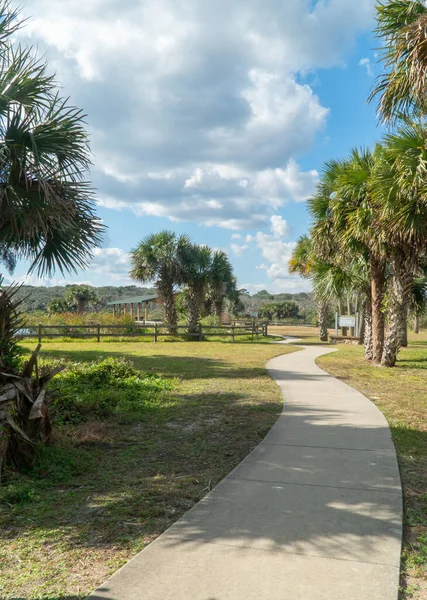 Nel Tardo Pomeriggio River Sea Park Nella Contea Palm Florida — Foto Stock