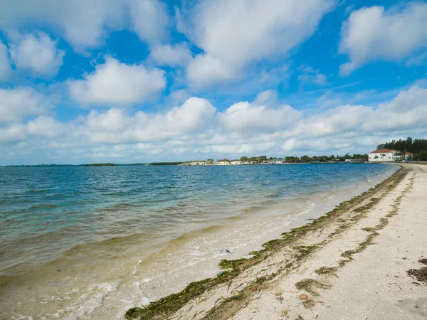 佛罗里达圣彼得堡附近帕尔马索洛湾的中景 — 图库照片