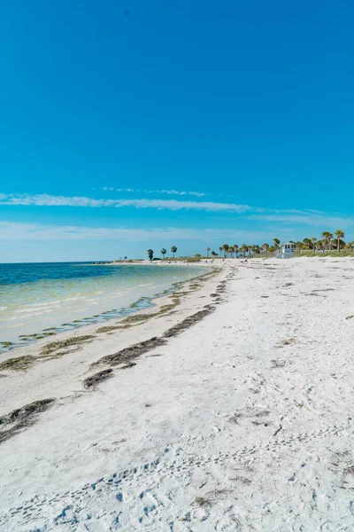 Popołudnie Fred Howard Park Nad Zatoką Meksykańską Tarpon Springs Floryda — Zdjęcie stockowe