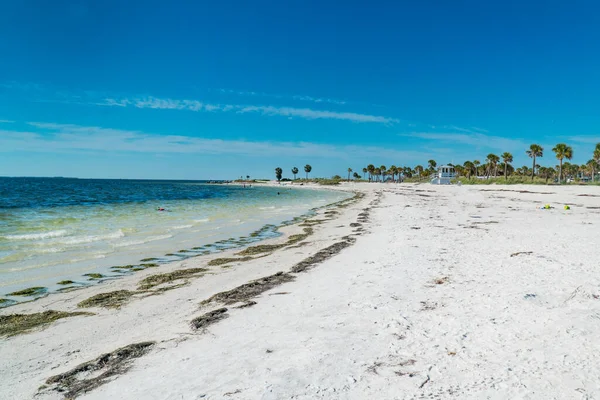 Popołudnie Fred Howard Park Nad Zatoką Meksykańską Tarpon Springs Floryda — Zdjęcie stockowe