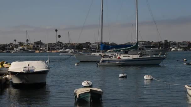 Port de Newport Beach — Video