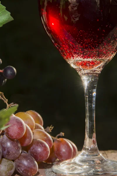 Sekt und Rotwein — Stockfoto