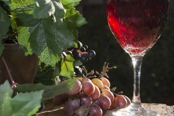 Sekt und Rotwein — Stockfoto