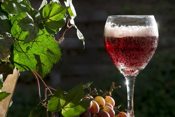 Sekt und Rotwein — Stockfoto