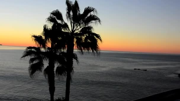 Το πρωί στο Laguna Beach — Αρχείο Βίντεο