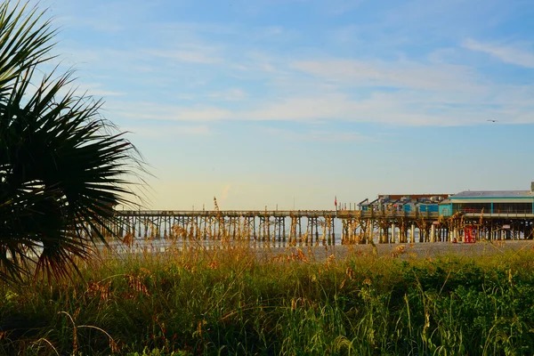 Casa frente al mar con coco palm tree maíz isla nicaragua — Fotos de
