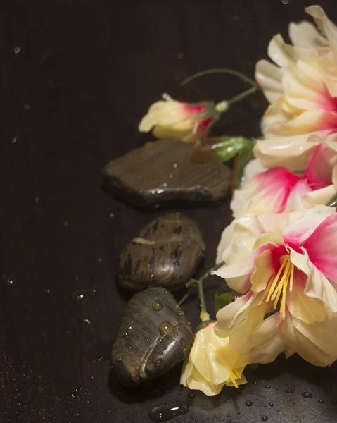 Spa Rocks with Floers — Stock Photo, Image