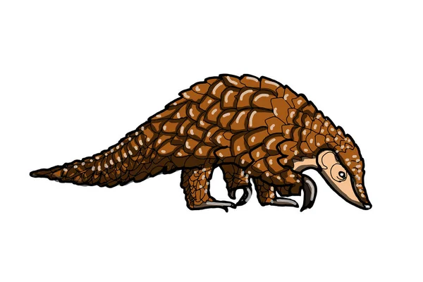 Pangolin Ζώων Εικονογράφηση Λευκό Φόντο — Φωτογραφία Αρχείου