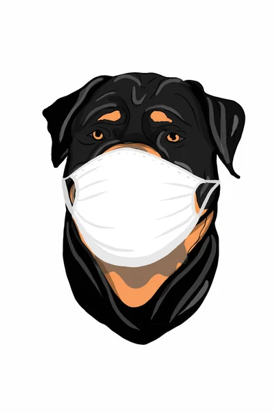 Netter Cartoon Portrait Roadfighter Hundekopf Zeichnung Und Gesichtsmasken Illustration — Stockfoto