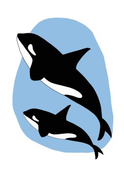 Karikatür mumya, katil balina ve bebek balina çizimi. 