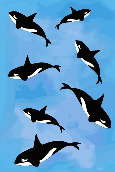 Cartoon Orca Modello Balena Killer Sfondo Blu — Foto Stock