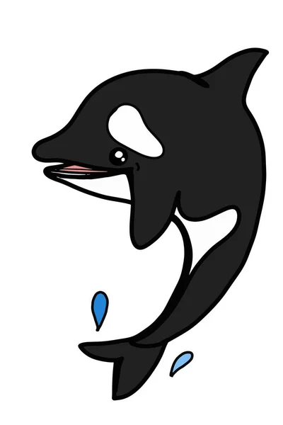 Cartoon Orca Killer Whale Illustration Drawing — Stock Photo, Image