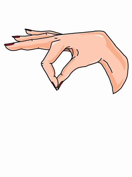 Female Hand Holding Illustration — Stock Photo, Image