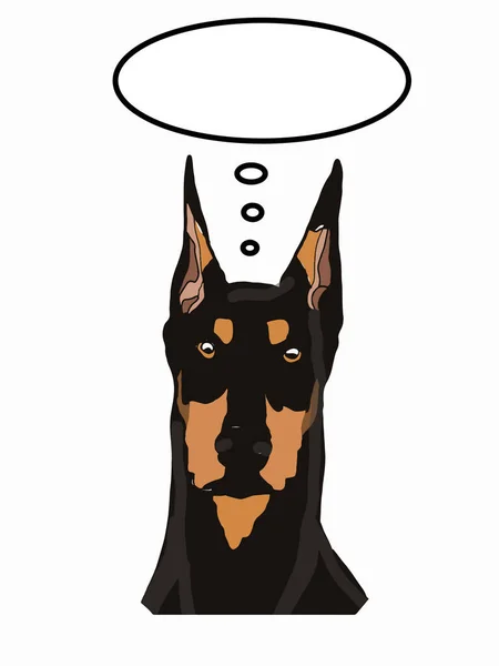 Doberman Pinscher Cabeça Realista Bolha Fala Desenho Isolado — Fotografia de Stock