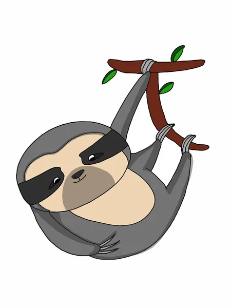 Cute Sloth Illustration White Background — Stok Foto