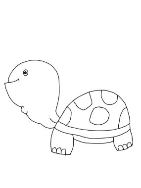 Şirin, karikatür, kaplumbağa, hayvan çizimi.