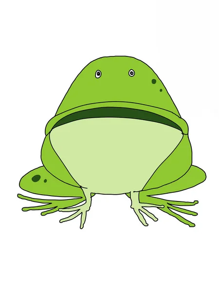cute, cartoon, frog  , animal illustration
