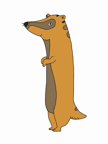 Cute Cartoon Meerkat Animal Illustration Coloring Drawing Line — Stock Photo, Image