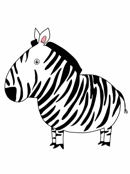 Słodkie Kreskówki Zebra Ilustracja Zwierząt — Zdjęcie stockowe