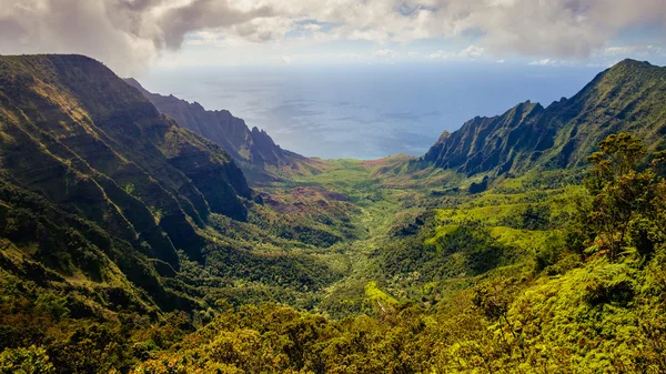 Vista panorâmica da paisagem do vale de Kalalau e das falésias de Na Pali — Fotografia de Stock