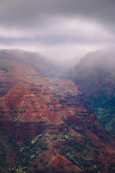 Vue sur le paysage du canyon de Waimea par temps brumeux, Kauai — Photo