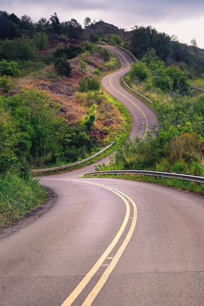Vista panorâmica da estreita estrada curvilínea e paisagem rural — Fotografia de Stock