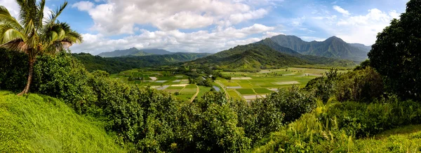 Vista panorámica del valle de Hanalei con campos de taro y montañas , —  Fotos de Stock