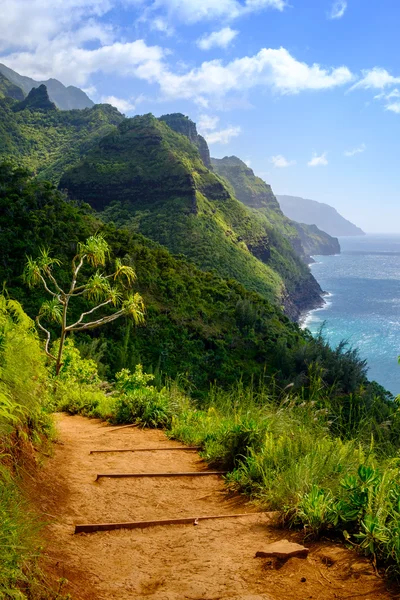 Landscape view of Na Pali coastline and Kalalau trail, Kauai — Stock Photo, Image