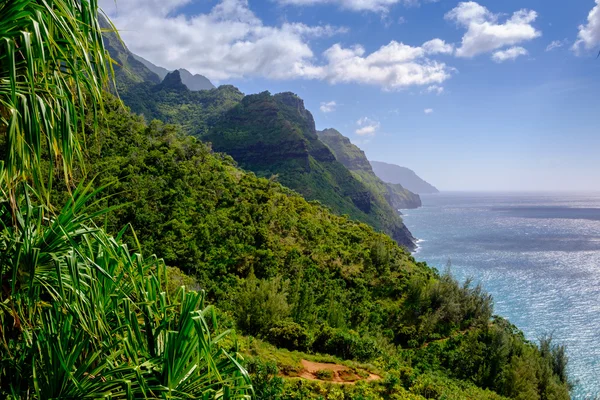 Landschapsmening Na Pali kustlijn en bos op Kalalau trail, — Stockfoto