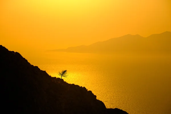 Paisaje vista de hermoso amanecer colorido sobre la isla del océano — Foto de Stock